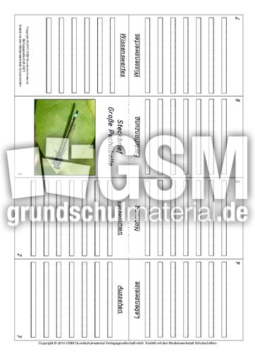 Faltbuch-Große-Pechlibelle.pdf